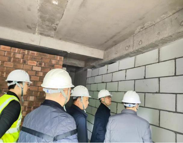 公司党委书记、总经理李梅轩一行来到庐陵悦澜湾项目现场视察